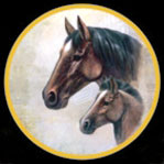 L&aacute;minas con Dise&ntilde;os