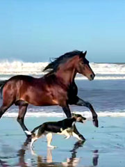 Clases de dibujo y pintura